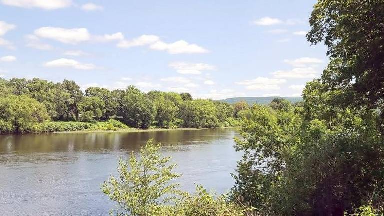 Updated Americana home with a Delaware River view