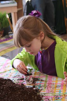 It happens every year Kiraleigh McCafferty of Vernon plants a seedling to bring home.