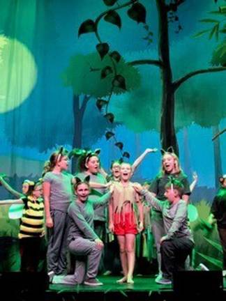 Auditions for Elf Jr at Newton Theatre Arts Academy Newton Theatre Arts Academy auditions will be held Sept. 21 through Sept. 23, 2019.