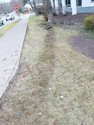 Routine traffic stop leads to chase, crash, and apparent escape attempt Oil stain leading to the tree in front of NBT Bank (Photo by Ken Hubeny Sr.)