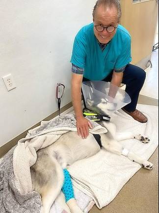 Dr. Ted Spinks checks on a dog after knee surgery.