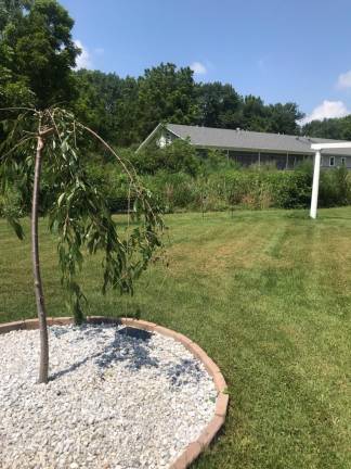 Father John's memorial garden offers peace and serenity