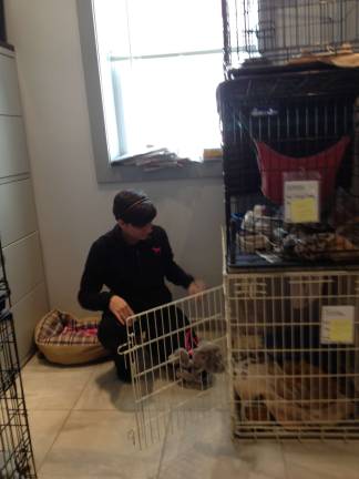 The Spa at Bella Boutique to host benefit for Father John’s Animal House Animals like Simba, shown here being led out of his cage at Father John's Animal House to be adopted, find homes thanks to this vital animal shelter.