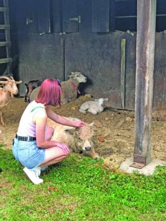 A visitor pets one of the goats.