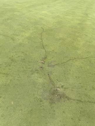 UPDATED: Golfer dies after being struck by lightning The spot where lightning struck a golfer on the 15th hole.