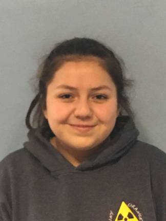 Problems and solutions: Students take aim Ella Orellana