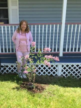 One of our first entries. Robin bought a lilac bush from Tom’s Greenhouse in Goshen, N.Y., in honor of her mother. “She liked to bring lilacs in the house on the dining room table. When I went to Tom’s Greenhouse last week, I was looking for colorful flowers to plant. This lilac bush took me by surprise when I saw it,” writes Robin. “I love it and it is growing beautifully. Tom’s Greenhouse had everything I needed to plant it.”