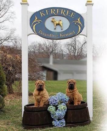 Kerfree Boarding Kennel celebrates 25 years in Sparta