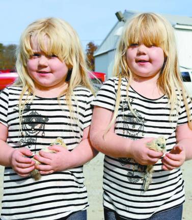 Sussex County Poultry Fanciers hold fall show Twins on twins, Mia and Maria Cosh of Wantage with twin silkie chicks at the Sussex County Poultry Show on Saturday.