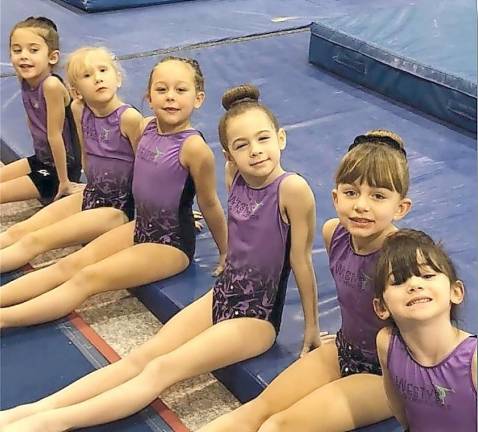 Westys gymnasts compete in Galloway Westys gymnasts compete in Galloway