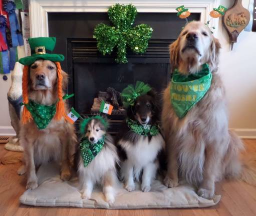 Celebrating St. Patrick's Day Pat Salvatoriello of Lafayette, N.J. "Lady Corcoran, Finnegan, Lucey and Dempsey ready to party."
