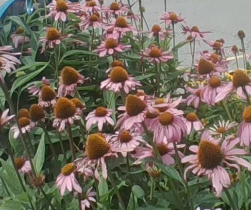 'GriefShare' aims to help those who are grieving 'GriefShare' aims to help those who are grieving
