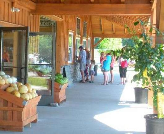 Tranquillity Farms opens new store People lined up early for ice cream on a hot summer day as Tranquillity Farms in Green Township celebrated the Grand Opening of their new Farm Market and Garden Center on Saturday, June 30, 2018.