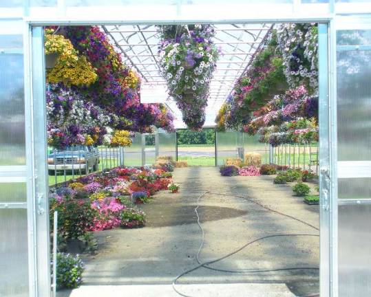 Tranquillity Farms opens new store The greenhouses at the new Tranquillity Farms Market and Garden Center are filled with colorful flowers