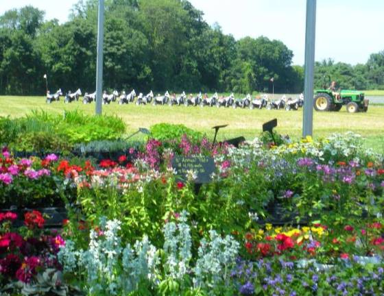 Tranquillity Farms opens new store Children enjoyed free rides on the cow train