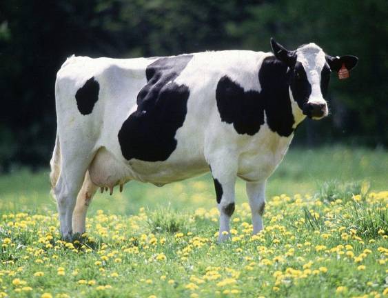 Law establishes small business loan program for farmers