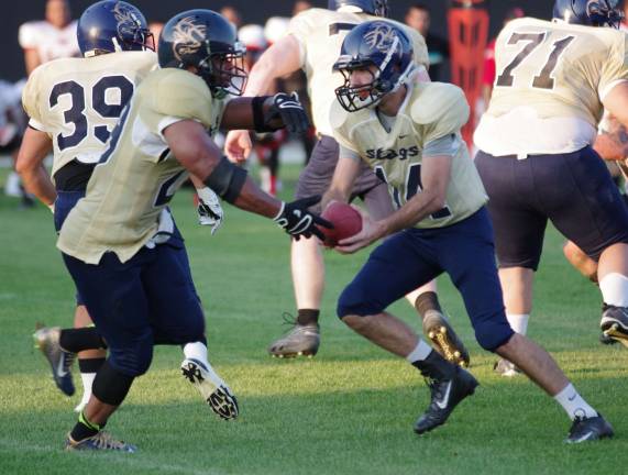 Sussex Stags lose season opener Sussex Stags running back Raheem Ridley about to get the ball from quarterback Cameron Beatty during a running play.