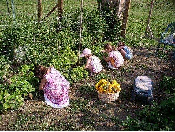 Sunset Vista Farms Paint & Sip More prospective gardeners getting their hands dirty.