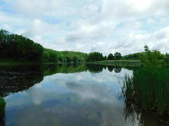 Northwest Corner: State Parks The Twin Lakes Trail at Kittatinny Valley State Park in Andover takes visitors on a loop to view the smallest of the park’s four lakes. The trail is less than a mile, but is rated for moderate hiking. (Photos by Mandy Coriston)