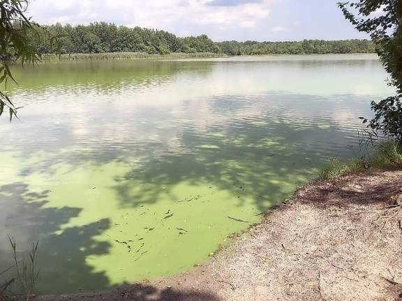 One of many Harmful Algal Blooms identified in state lakes last summer.