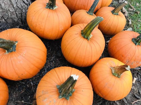 Halloween party for families in recovery