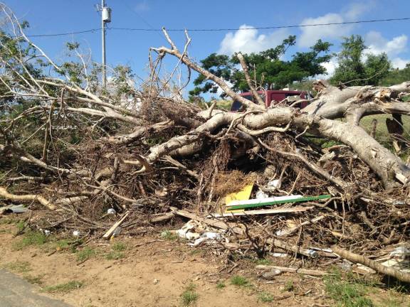 Debris made up of trees and houses lined almost every roadside