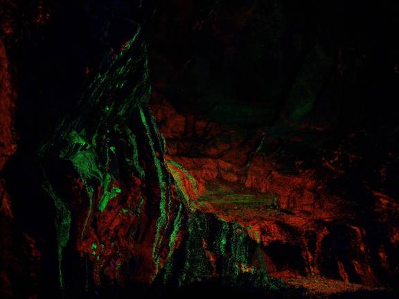 Chipping away for treasure The fluorescent outcropping is illuminated by UV lights.
