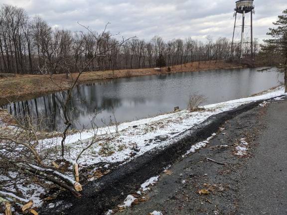 Pictured is the Green Acres site where trees were cut down. Mainly beautiful evergreens and shrubs with periwinkle ground cover, said Mary Rapuano, who noted that a fence was removed, which she says should have been done years ago. Green Acres sites must be accessible to the public.