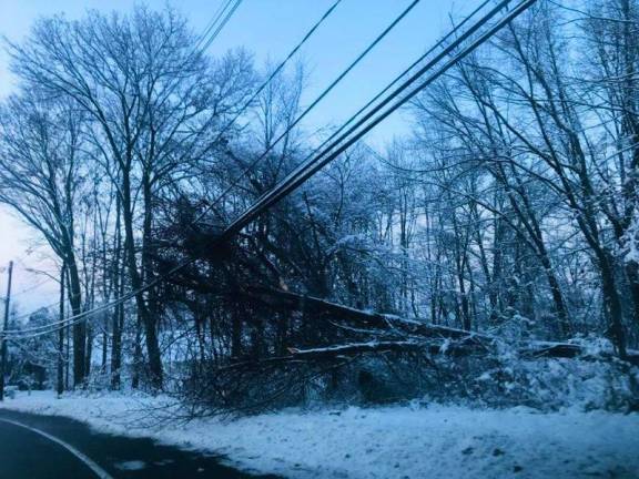 Aftermath of the storm: Throughout the Sparta, Byram, Newton, Andover and Stanhope areas this week workers carved up trees felled by the season’s first snowstorm and linesmen worked throughout the night restoring power.
