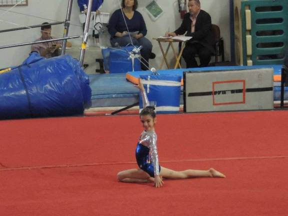 Giant Gymnastics' 3rd annual Gator Bowl Megan Ward, of Fredon, competes.