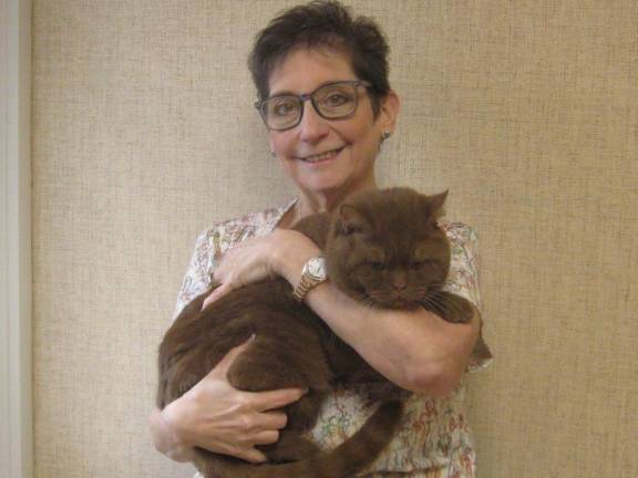 Feline behaviorist trains cats Camille Re, the first certified feline behaviorist in Sussex County, holds her British Shorthair Yogi. (Photo by Janet Redyke)