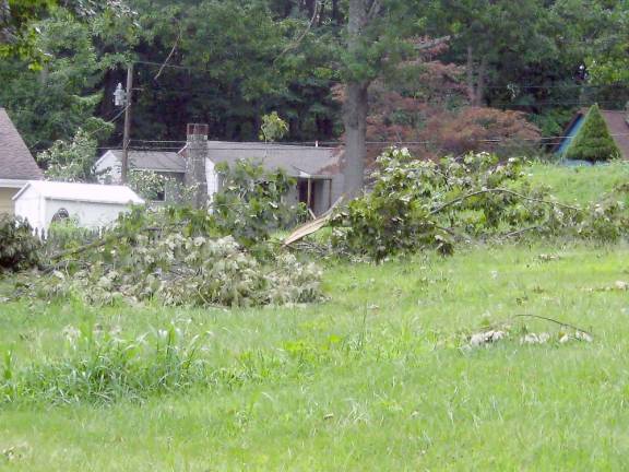 Locals compare Tropical Storm Isaias to Sandy Tropical Storm Isaias came into town with what many say was the equivalent to Super Storm Sandy. Tree limbs show the force of the wind.(Photo by Janet Redyke)