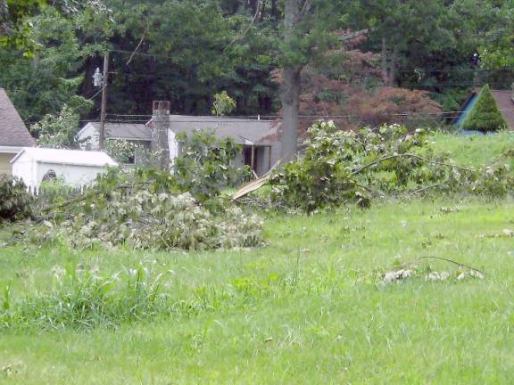 Tropical Storm Isaias came into town with what many say was the equivalent to Super Storm Sandy. Tree limbs show the force of the wind.(Photo by Janet Redyke)