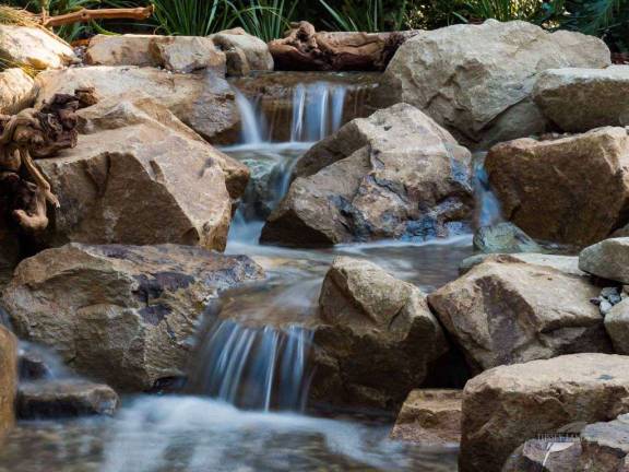 How much does a Koi Pond or Water Garden cost?