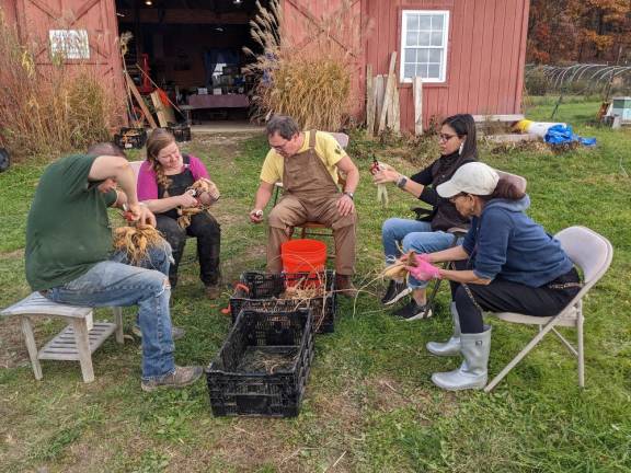 Dan and Michelle Beatty of Fredon, Andy Grinthal of Sunset View Farm, Andover Twp., Esther Rojo of Sparta, and her mom Ana Rojo of the Dominican Republic divide dahlia tubers.