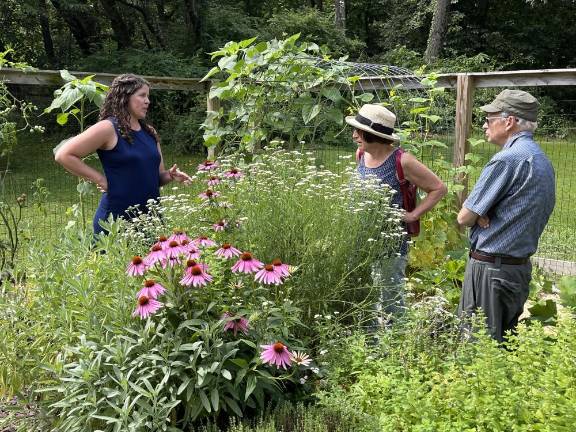 New Jersey gardeners win props for crops on Kitchen Garden Tour <b>Sparta gardener Megan Curry shows visitors the ‘raised-bed garden of dreams’ that her family started during the pandemic. (Photo by Bill Woolley)</b>