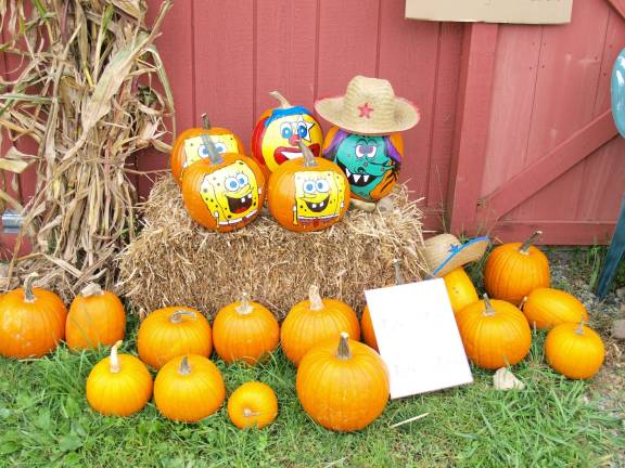 Gobs of garlic Pumpkins on display.