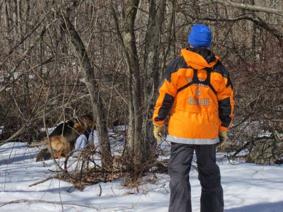 Scouts learn search and rescue The NJSAR search and rescue dog Zip finds Emily Brothman, the simulated lost girl.
