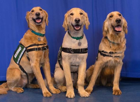 Providing Some Fun in a Child’s Hospital Stay The Paws & Play team. (Photo: Mount Sinai Kravis Children’s Hospital)
