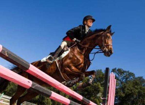 Sussex County Horse Show Benefit The Sussex County Horse Show Benefit will be held at the Sussex County Fairgrounds, 37 Plains Rd., Augusta at 8 a.m. on Saturday, June 22. There will be commercial vendors, designated parking, entertainment, music. For in The Sussex County Horse Show Benefit will be held on Saturday, June 22, 2019, at the Sussex County Fairgrounds, 37 Plains Rd., Augusta. For information call 973-948-5500.