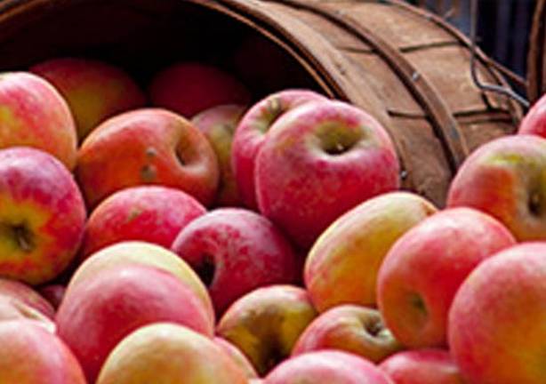 Seeking vendors for Rustic Market Seeking vendors for Rustic Market.