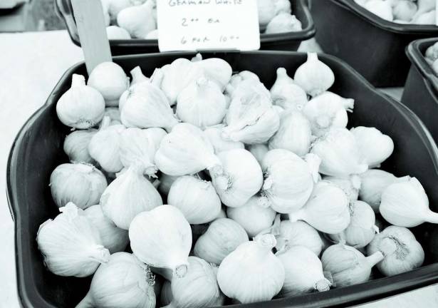 Gobs of garlic German White garlic provided by Valley Fall Farm.