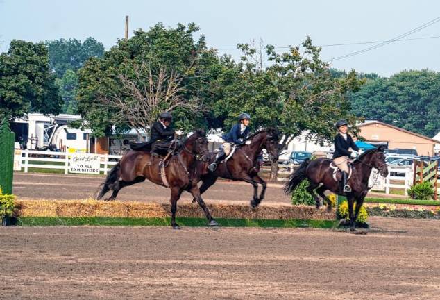 Fine weather boosts fair attendance <b>There is a new pavilion for box seats at the horse show arena. A committee continues to raise money to build permanent platforms for seating. (Photo by Nancy Madacsi)</b>