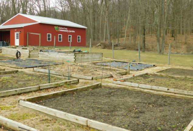 Seeking green thumbs Seeking green thumbs