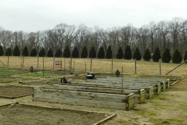 Seeking green thumbs Seeking green thumbs