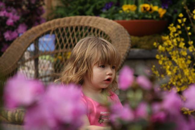 It happens every year Sally Love of Kittatiny Lake peeks through the pink blossoms.