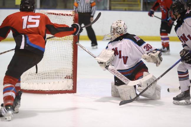 Senior Michael Sadowski (15) of High Point celebrates a second-period goal.