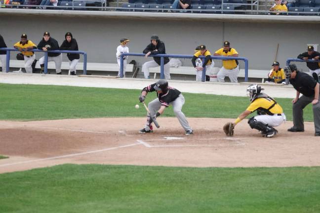 Miners bury Jackals on the diamond New Jersey Jackals batter Nolan Meadows in a bunt stance in the second inning.
