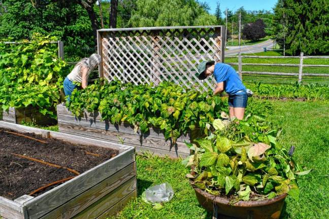 Photos: Volunteer Day at Rebecca’s Homestead <b>Volunteers help out at Rebecca’s Homestead, which houses developmentally disabled adults who contribute to the daily operations of the farm.</b>