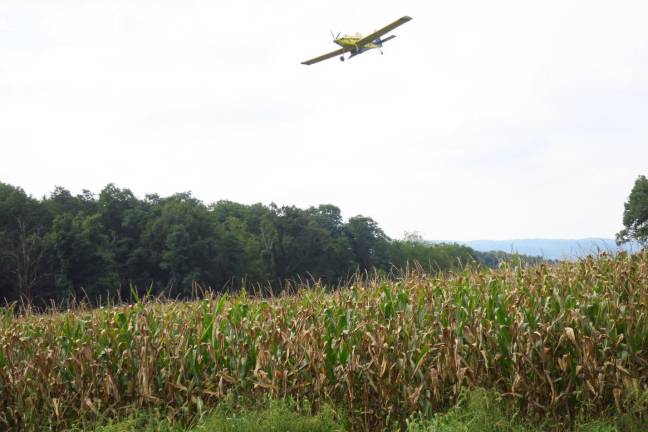 Aerial seeding via two low flying planes will take place in Northern New Jersey now through September 9, 2019.